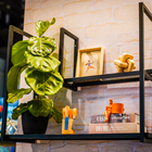 Prateleira de Aço Preta 70x30cm com Suporte Visível Flow Maxeb