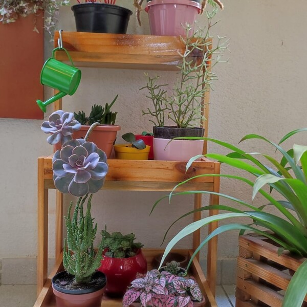 Prateleira De Chão, Jardineira, Suporte P19