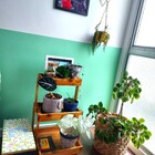 Prateleira De Chão, Jardineira, Suporte P19