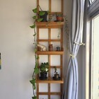 Prateleira, Floreira, Jardim Vertical, Painel De Plantas P1