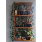 Prateleira, Floreira, Suporte Plantas, Painel De Plantas P8