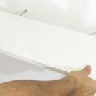 Prateleira Flutuante 20x80 Cms Com Suporte Incluso Pbs 2080 -