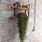 Prateleiras Barra Chata 1 1/2" -