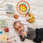 Pratinho Para Bebê Animal Fun Estampa Leão Prato Infantil Ras