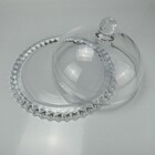 Prato Bolo Boleira Home&co Tampa Eco Crystal 20x32x32cm Trans