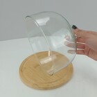 Prato Bolo Boleira Redondo Home&co Tampa Vidro Bambu 15x20x20