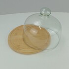 Prato Bolo Boleira Redondo Home&co Tampa Vidro Bambu 15x20x20