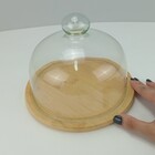 Prato Bolo Boleira Redondo Home&co Tampa Vidro Bambu 15x20x20