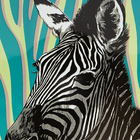 Prato decorativo zebra 21 cm de diâmetro