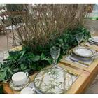 Prato Fundo Bambu Plus Cerâmica Alleanza