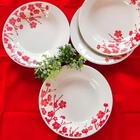 Prato Fundo De Cêramica Donna Jardim Oriental 21,5cm 1 Unidad