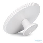 Prato Ideal Para Sobremesa Bolo