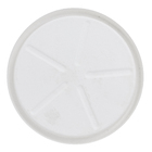 Prato Plástico Redondo Branco Grande