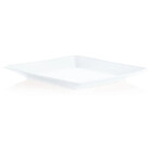 Prato Quadrado De Plastico Para Refeisao