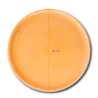 Prato Raso  26cm Porcelana Âmbar Germer