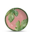 Prato Raso Frutas Melancia