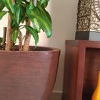 Prato Redondo Com Roda  20cm Amêndoa - Alpe & Aritana