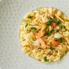 Prato Risoto Ártico Branco 27 Cm - Porcelana Schmidt