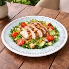 Pratos Raso Jantar Donna Bosque Oxford Jogo Kit 12pçs 26cm