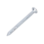 Prego Aço com Cabeça 2,4x30mm 15x15 25g