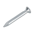 Prego Aço Polido com Cabeça 2,4x20mm 15x10 25g