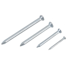 Prego Aço Polido com Cabeça Tamanhos Diversos 65 peças