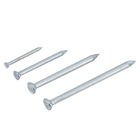 Prego Aço Polido com Cabeça Tamanhos Diversos 65 peças