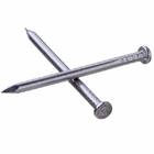 Prego com Cabeça Aço Inox 3 x 50 mm Cartela 25g Systec