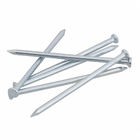 Prego Com Cabeça  Aço Zincado 3,00x69,00mm 17x30 25g