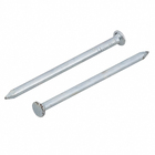 Prego Com Cabeça  Aço Zincado 3,90x69,00mm 19x30 25g