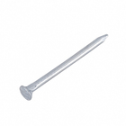 Prego com Cabeça Aço Zincado 1,5X23mm 10X10 Granel