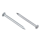 Prego Ferro Polido com Cabeça 2,4x35mm 15x15 25g