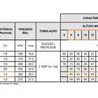 Pressurizador Syllent Com Pressostato Hioda1/2cv Silencioso 1