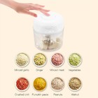 Processador Alimentos Eletrico Mini Lamina Duplo Triturador P