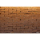 Protege Eco TT 1 Litro - Performance Eco