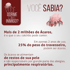 Protetor De Colchão Castor Casal Impermeável Malha Gel 140x19