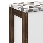 Puff Baú Az1013 Tecno Mobili