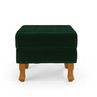 Puff Canis / Veludo Verde