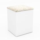 Puff Com Bau Tecno Mobili Pu2050