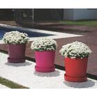 Puff Multiuso Corpo E Tampa Em Plastico Rosa