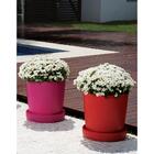 Puff Multiuso Corpo E Tampa Em Plastico Vermelho