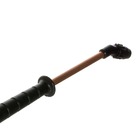 Pulverizador Alta Pressão Trombone 5L Guarany