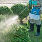 Pulverizador De Jardim Lxt À Bateria 18v 5l Com Bico Duplo H