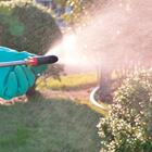 Pulverizador De Jardim Lxt À Bateria 18v 5l Com Bico Duplo H