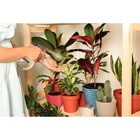 Pulverizador Manual Tramontina Em Plástico 0,45 L