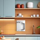 Purificador De Água Everest Star Prata 127V