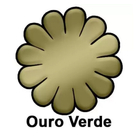 Purpurina Ouro Verde 5g
