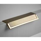 Puxador Citizen 45g G Red Gold - Zen