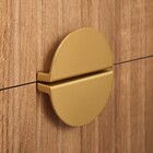 Puxador de Móvel Alumínio Dourado Escovado 64mm 2 Peças Celian Inspire