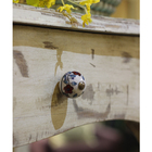 Puxador para Móveis Cerâmica Branco Cores 30mm